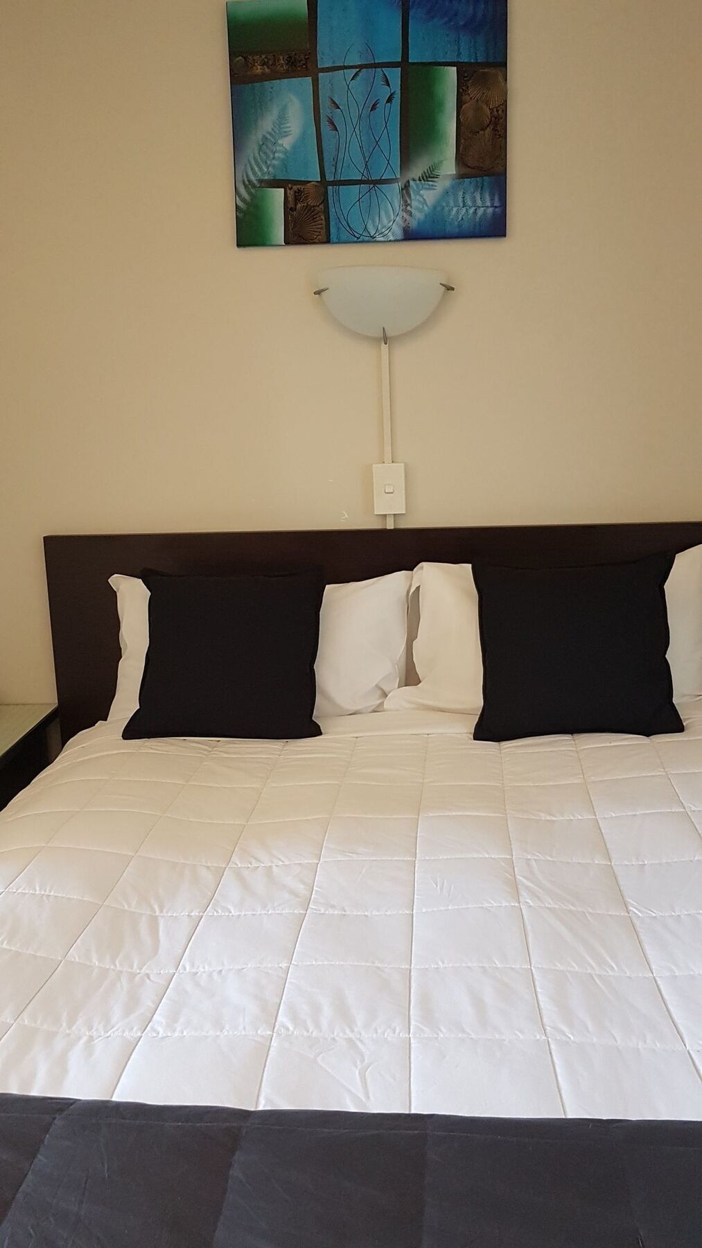 88 Wallace Court Motel Wellington Luaran gambar